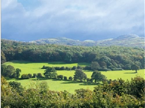 The Druid Inn Llanferres Luaran gambar